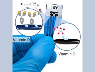 The chip contains two sensors, each of which uses electric current to detect a vitamin. Credit: ACS Applied Nano Materials (2024). DOI: 10.1021/acsanm.3c05701