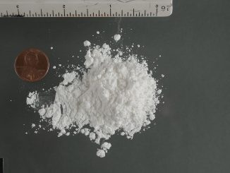 En hög med kokainhydroklorid. Kredit: DEA Drug Enforcement Agency, offentlig domän