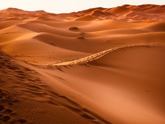 Sahara öknen