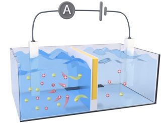 An improved membrane (yellow line) dramatically increased the amount of osmotic power harvested from salt gradients, like those found in estuaries where salt water (left tank) meets fresh water (right tank). Credit: Adapted from ACS Energy Letters 2024, DOI: 10.1021/acsenergylett.4c00320
